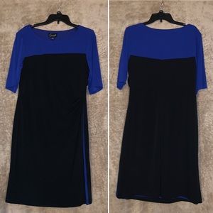 Black & Blue Dress